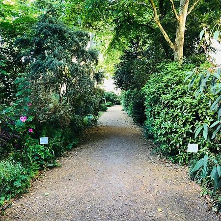 לונדון Southern Belgravia Apartments מראה חיצוני תמונה